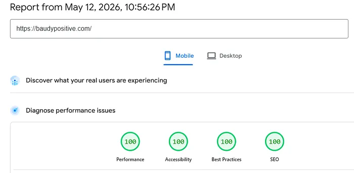 Google PageSpeed Insights showing perfect 100 scores across the board